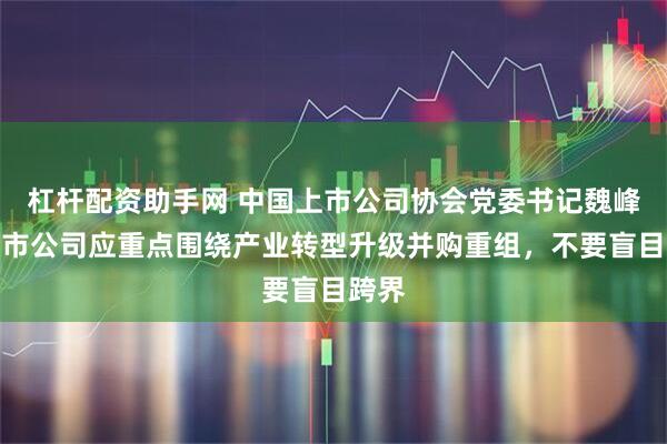 杠杆配资助手网 中国上市公司协会党委书记魏峰：上市公司应重点围绕产业转型升级并购重组，不要盲目跨界